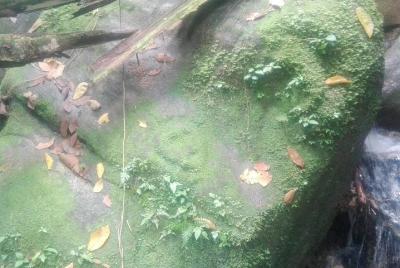 joya perdida, Tour 1 dia Sierra nevada de santa marta. solo reliq