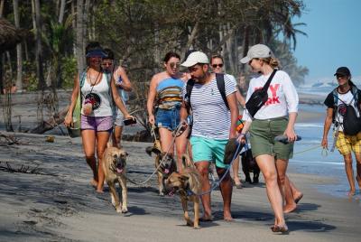 Picnic para perros en la playa y el río