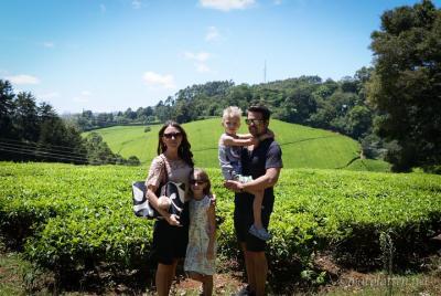 Recorrido por la granja de té de Nairobi a Kiambethu