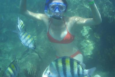 Experiencia de snorkel en Taganga