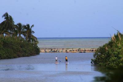 Experiencia SUP en zona Tayrona