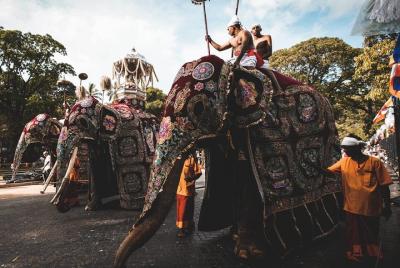 Tour festivo de agosto Kandy