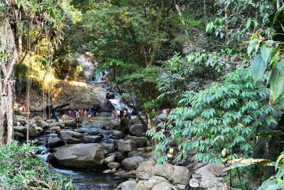 Servicio de transporte privado de Palomino a Minca.