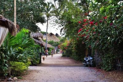 Servicio de transporte privado de Santa Marta a Palomino