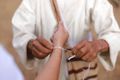 Aseguranza en Palomino 