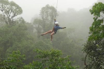 Tour de Canopy & Pueblo de Sarchí desde San José