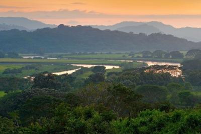 Excursión al Parque Nacional de Carara