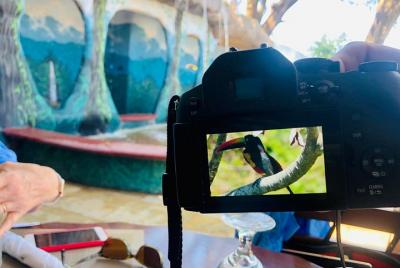 Tour de lo más destacado de Jaco