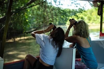 Observación de aves profesional