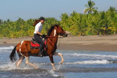 Aventura a caballo cerca de Jacó