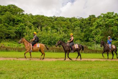 Cabalgata y visita a Catarata en Jacó