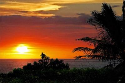 Rainforest Costa Rica Sunset Tour