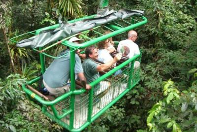 Tranvía aéreo del bosque lluvioso