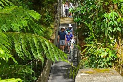 Caminata al Observatorio Arenal y aguas termales NATURALES