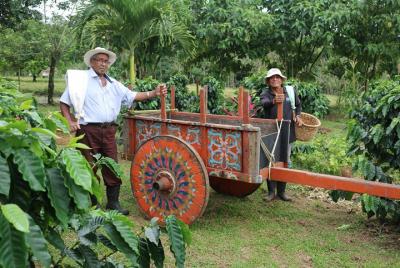 Experiencia con café artesanal costarricense