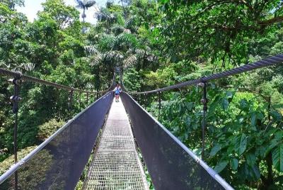 Puentes colgantes de Arenal desde Arenal Puentes colgantes de Arenal desde Arenal