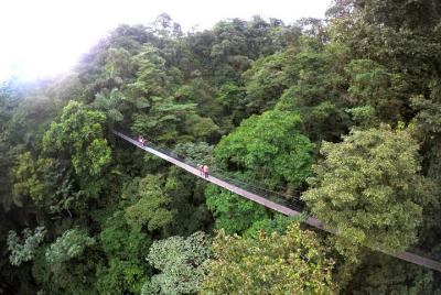 Puentes colgantes, catarata Fortuna, almuerzo típico  Puentes colgantes, catarata Fortuna, almuerzo típico