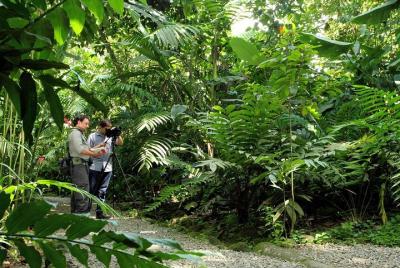 Paseo por la naturaleza en el parque ecológico y jardín de maripo