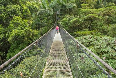 Caminata de puentes colgantes en el Volcán Arenal