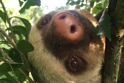 Tour Nocturno Ecocentro Danaus En La Fortuna Arenal