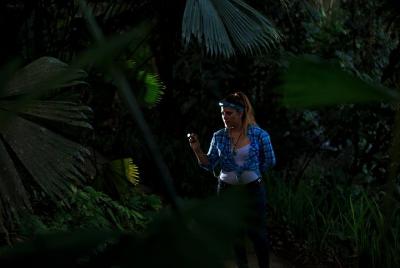 Experiencia de tour nocturno en Arenal