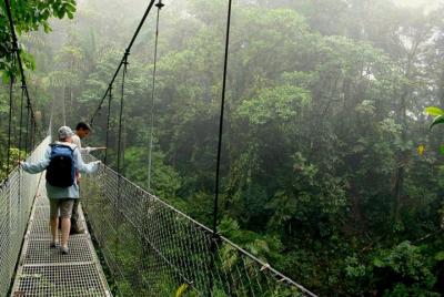 Tour de Puentes Colgantes de Arenal