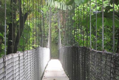 Excursión natural por los puentes colgantes de Arenal