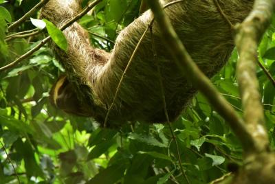Mistico Park Hanging Bridges por guías locales