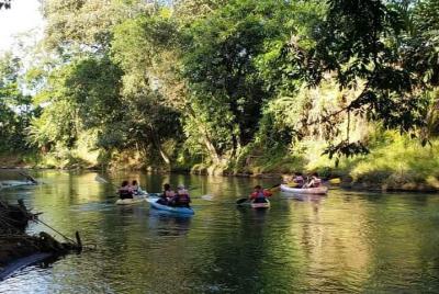 Experiencia de safari de vida silvestre en kayak