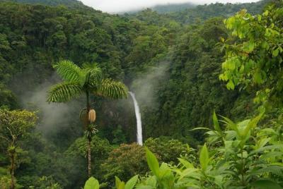 Excursión a la catarata La Fortuna en coche