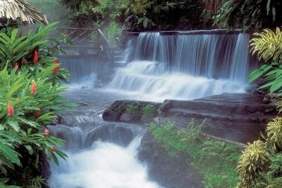 Tabacon Resort Hot Spring y caminata por el volcán Arenal desde G
