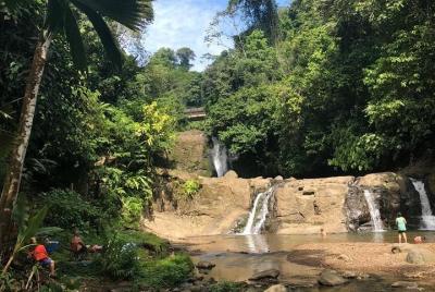 Tranquilo viaje a la cascada Hone Creek