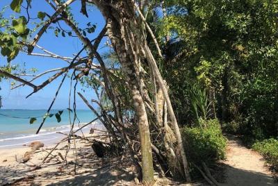 Caminata en el Parque Nacional Cahuita