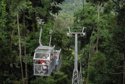 Excursión por la costa al bosque tropical Veragua y los canales d