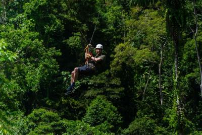Canopy Tour