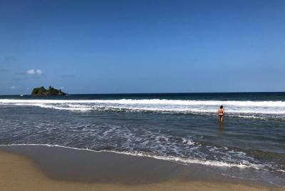 Tour en bicicleta desde Puerto Viejo a Manzanillo