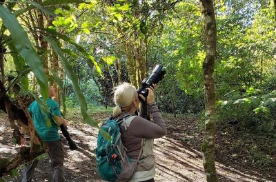 Tour completo de observación de aves por la mañana (servicio priv