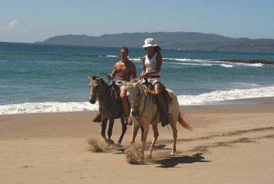 Paseo a caballo por la selva y en Playa Flamingo Paseo a caballo por la selva y en Playa Flamingo
