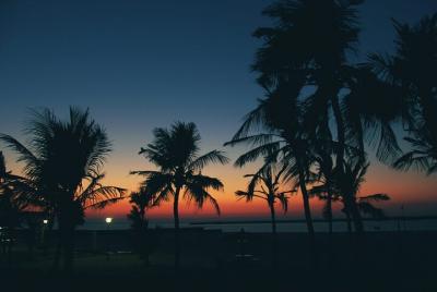Bioluminiscencia desde Puerto Escondido
