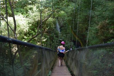 Pase natural de un día a Rincón de la Vieja
