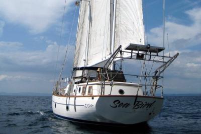 Snorkel y cruceros al atardecer