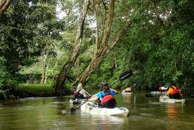 Kayak en un río tranquilo en la zona más bio-diversa de Costa Ric