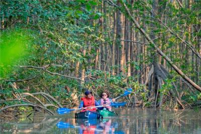 Recorrido de exploración en kayak de los manglares desde Puerto J