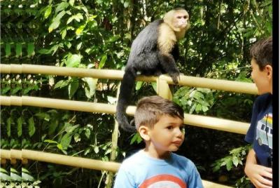 Tour turístico de Puntarenas