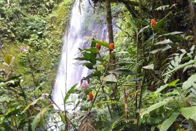 Caminata extrema Cataratas el Tigre