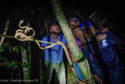 Caminata Nocturna (Privada)