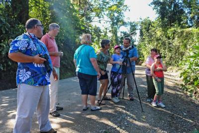 Lo más destacado de Puntarenas 10 en 1 y almuerzo escénico