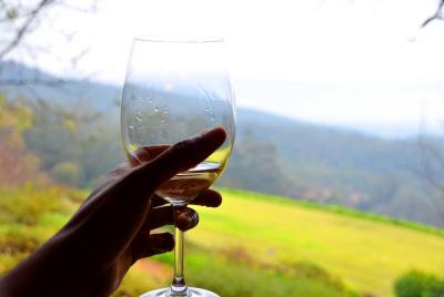 Tour de día completo de Cape Winelands y cata de vinos