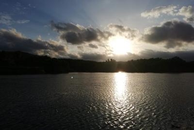 Tour de bioluminiscencia en barco