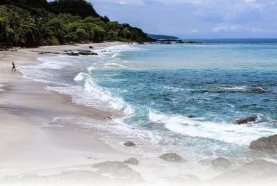 Shuttle hacia / desde Montezuma> San José